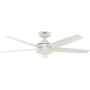 Tidal Ridge 52 in. Outdoor Fresh White Ceiling Fan with Wall Switch