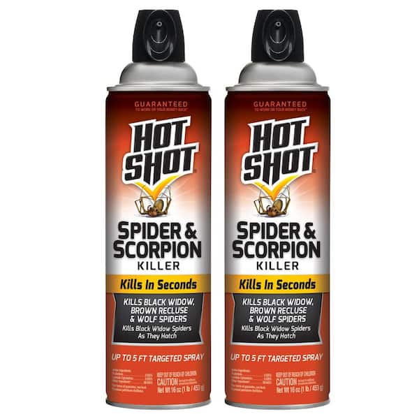 Hot Shot 16 oz. Spider and Scorpion Insect Killer Aerosol Spray (2