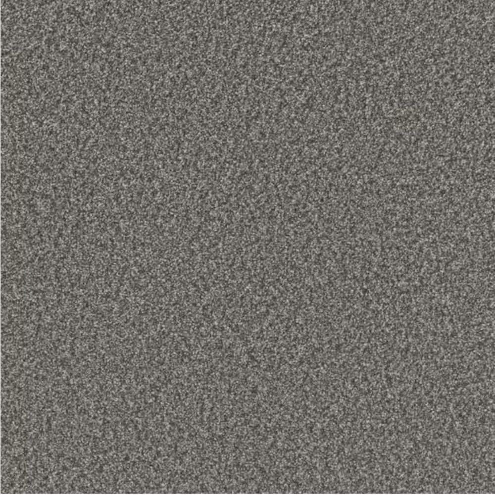 8 in. x 8 in. Texture Carpet Sample - Gentle Glimmer I - Color Wink price history on PriceWatchPro