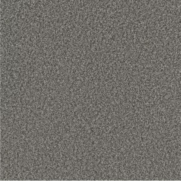 8 in. x 8 in. Texture Carpet Sample - Gentle Glimmer III - Color Wink