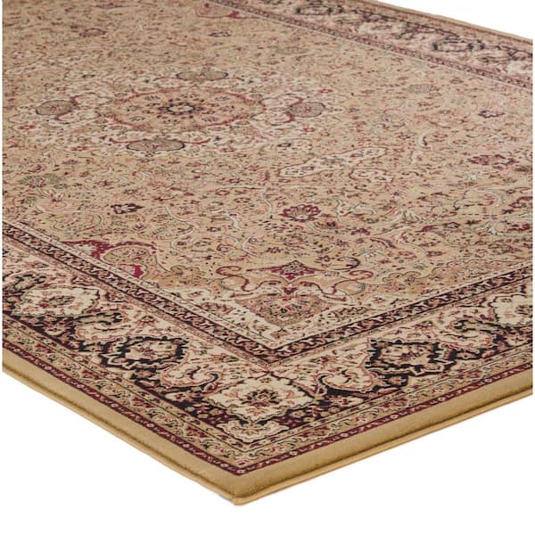Home Decorators Collection Silk Road Red 8 ft. x 10 ft. Medallion Area Rug  30907 - The Home Depot