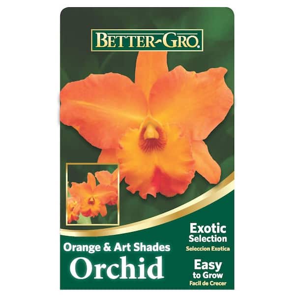 Better-Gro 4 in. Orange Cattleya Packaged Orchid