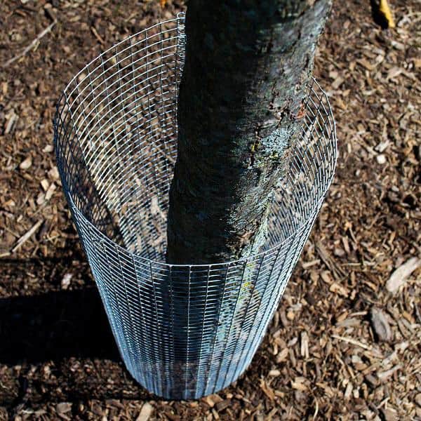 1/2 in. x 4 ft. x 50 ft. Hardware Cloth : 19-Gauge Wire Mesh Fence : Chicken  Wire, Rabbit Cage : Garden & Plant Support