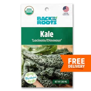Organic Lacinato Kale Seed (1-Pack)