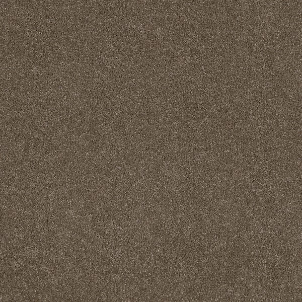 Jack Bay I - Playground - Brown 48 oz. SD Polyester Texture Installed Carpet