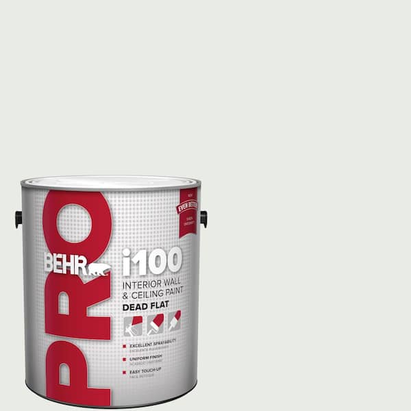 1 gal. #BWC-19 Queen Annes Lace Dead Flat Interior Paint