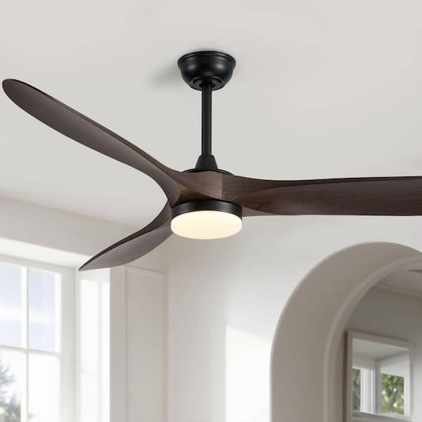 Genoxygic 60 in. Indoor/Covered Outdoor Modern Black LED Ceiling Fan with Light and Remote Painted Walnut Blades 3-Color Changing