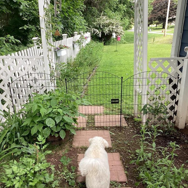 Temporary Fence Ideas Invisible Electric Fence To Keep Dogs Out