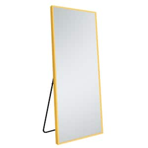 Anky Gold 24 in. W x 65 in. H Rectangle Aluminum Framed Full Length Mirror