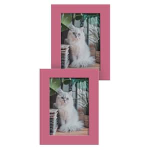 Modern 3.5 in. x 5 in. Hot Pink Picture Frame (Set of 2)