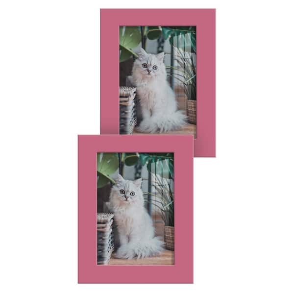 Wexford Home Modern 3.5 in. x 5 in. Hot Pink Picture Frame (Set of 2)