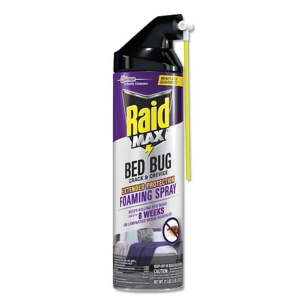 Raid 17.5 oz. Aerosol Foaming Crack and Crevice Bed Bug Killer (6/Carton)