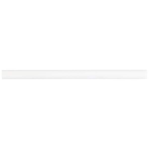 Bianco Dolomite White 0.75 in. x 12 in. Polished Marble Pencil Liner Wall Tile Trim
