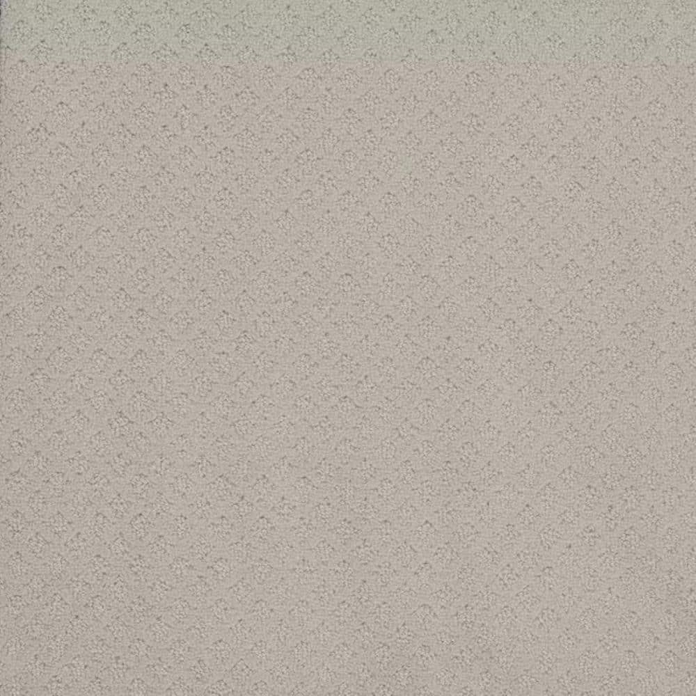 8 in. x 8 in. Pattern Carpet Sample-Bell Loop-Color Ding price history on PriceWatchPro