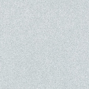 Karma I - Opal Grey - Gray 41.2 oz. Nylon Texture Installed Carpet
