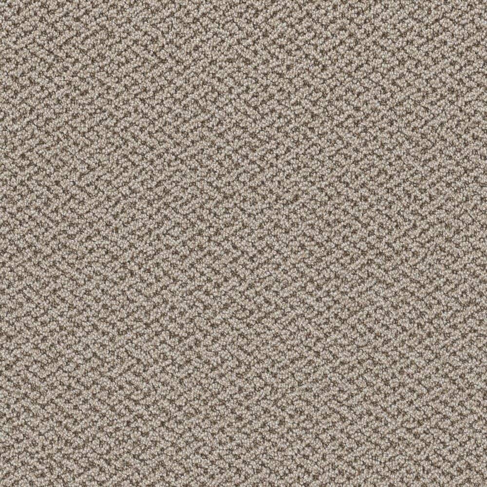 8 in. x 8 in. Loop Carpet Sample - Ballad Bliss - Color Coda price history on PriceWatchPro