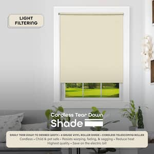 Cordless Light Filtering Vinyl Roller Shade