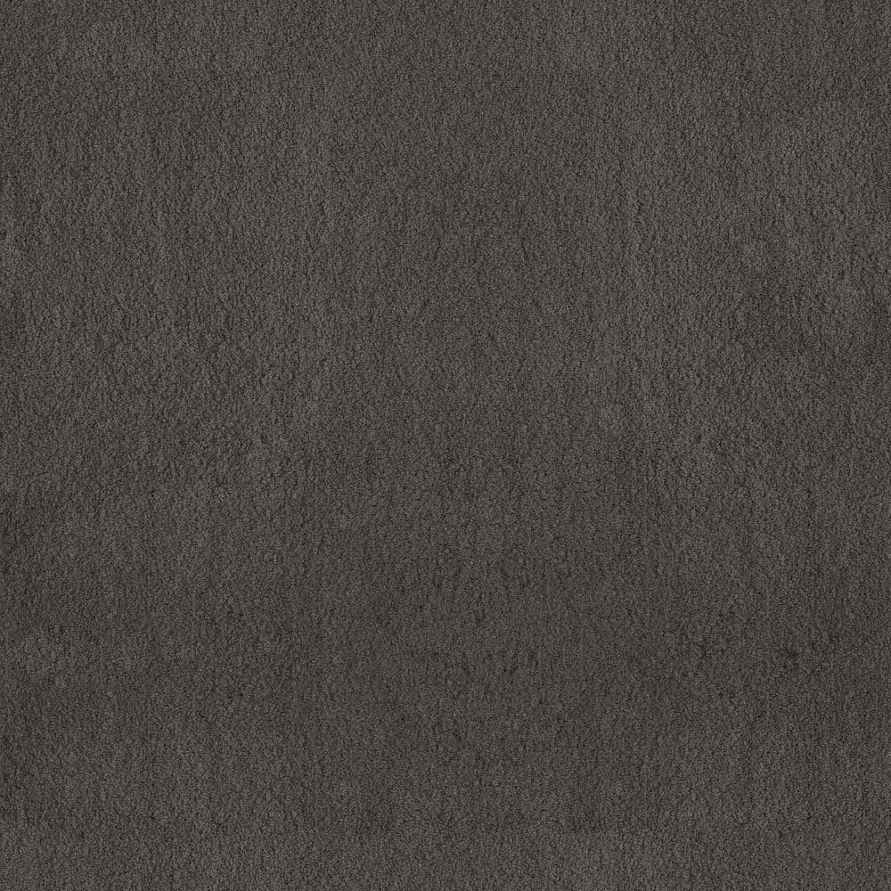 8 in. x 8 in. Texture Carpet Sample - Dreamy Daze I -Color Reese price history on PriceWatchPro