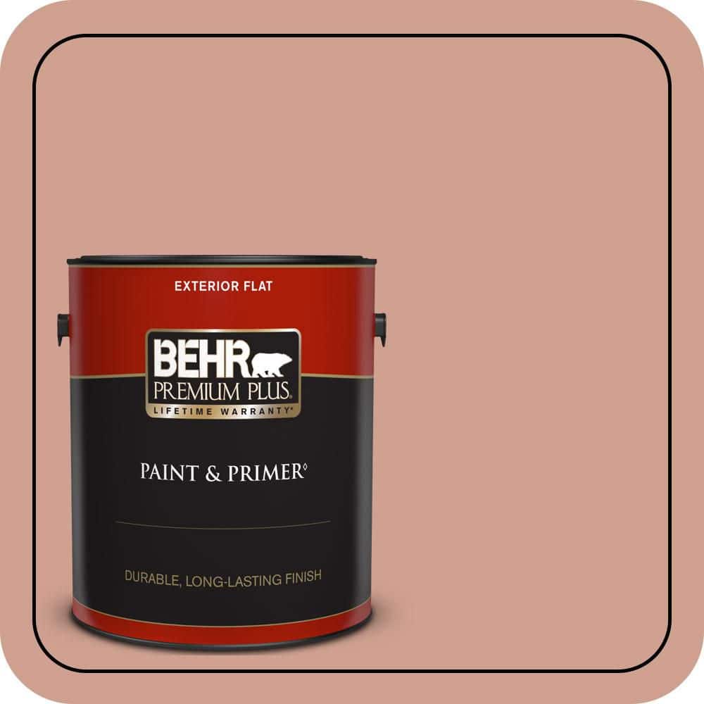 1 gal. #S180-4 Shiny Kettle Flat Exterior Paint & Primer price history on PriceWatchPro