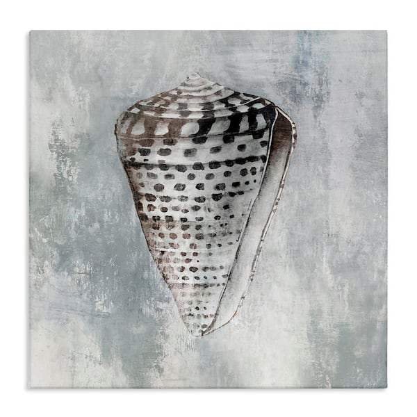 Stupell Industries Organic Cowrie Shell by Eli Jones Unframed Coastal Graphic Art Print 30 in. x 30 in.