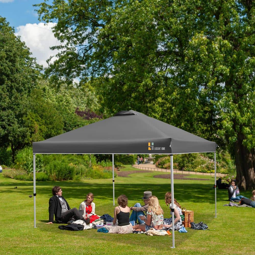 10 ft. x 10 ft. Pop Up Canopy Portable Folding Instant Canopy Tent in Dark 