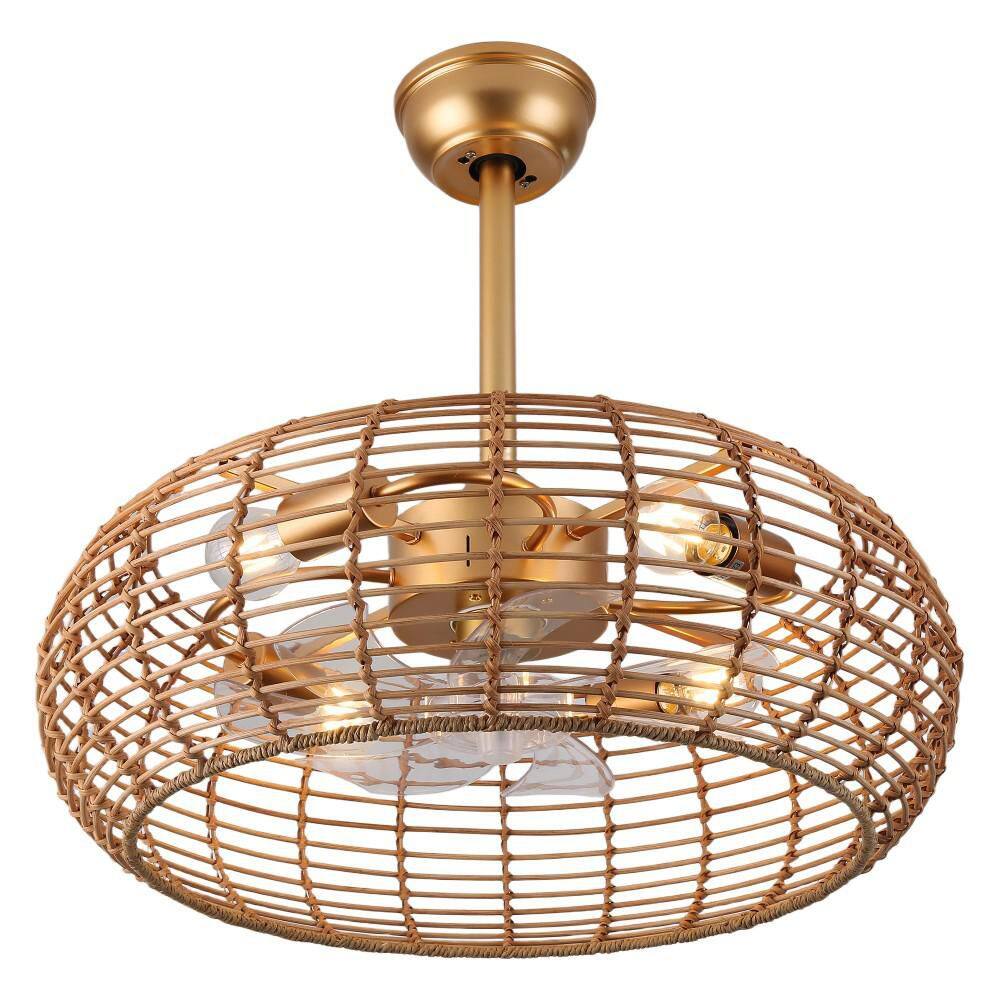 Ventura 24 in. Indoor French Gold Boho Farmhouse Rattan Drum Downrod 6-Speed Smart Ceiling Fan with Lights and Remote price history on PriceWatchPro