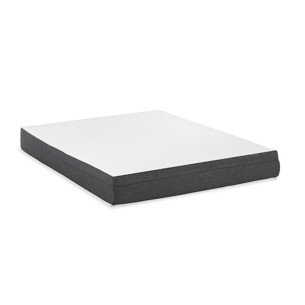null Daisy 8in. Firm Memory Foam Tight Top Queen Mattress