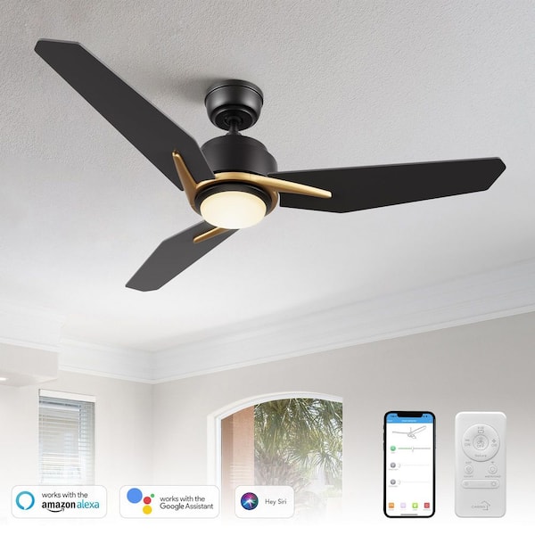 Tilbury 48 in. Integrated LED Indoor/Outdoor Black Smart Ceiling Fan with Light and Remote, Works with Alexa/Google Home