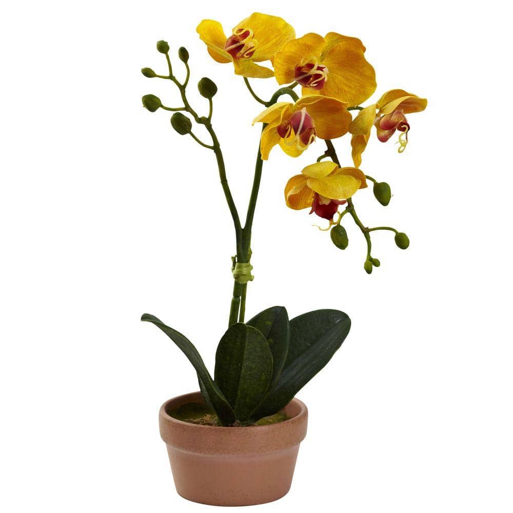 Set of 4 Multicolor Faux Orchid Plants in Clay Pots
