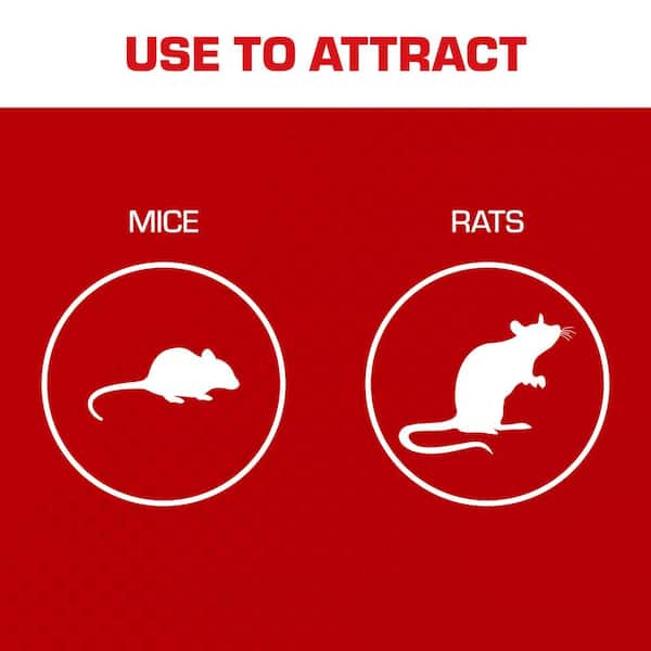Tomcat Mouse Killer Disposable Trap bait Station Rat Mice Rodent