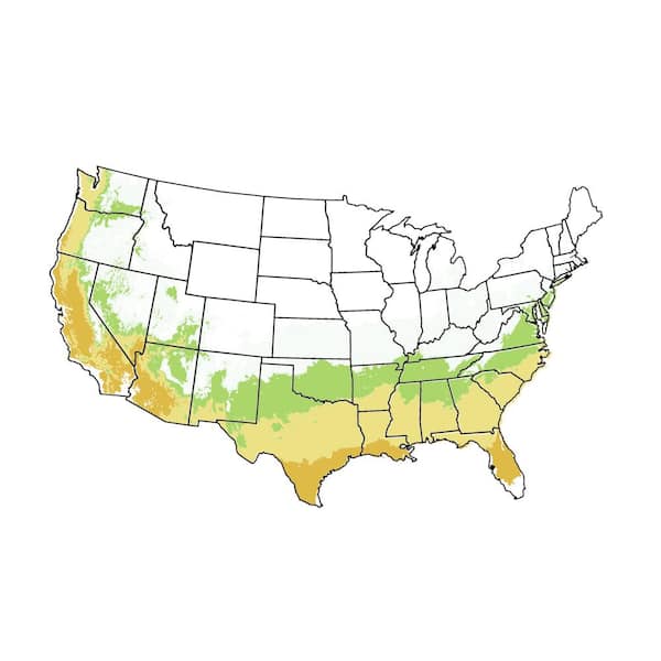 Hardiness Zone Tree Pawpaw Crepe Myrtle, Crape Myrtle, Map,, 57% OFF