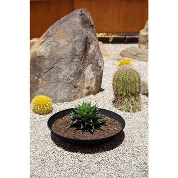 Lane Bowl 24 in. Black Plastic Round Planter