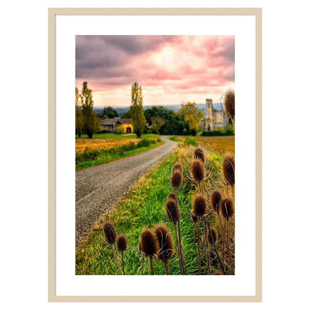 Chateau Tauzia Thistles Scenic Photography Print in Svelte Natural Frame