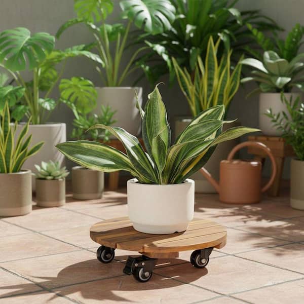 Unbranded Wood Rolling Round Plant Caddy YNLIN355