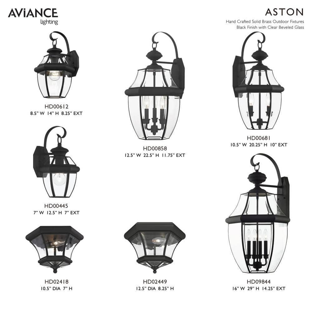 Black Beveled Glass 2-Light Outdoor Hanging Lantern