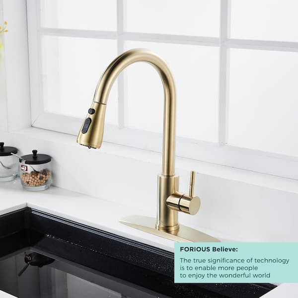 FORIOUS Single Handle Kitchen Faucet with Pull Down Sprayer High