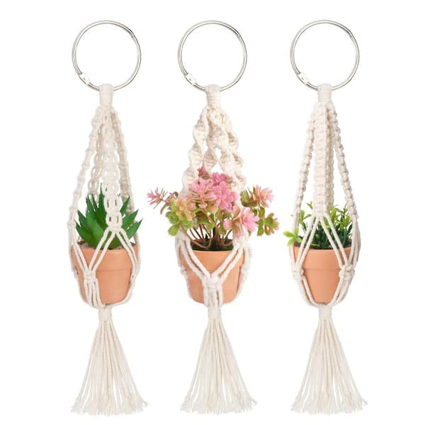 indoor tree plants Money Tree Plant with Planter - Small (12"-16" tall) Cream Planter