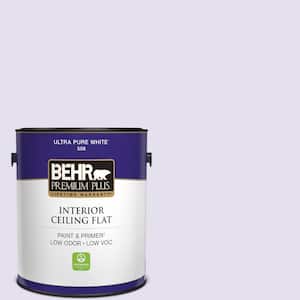 1 gal. #P560-1 Blissful Ceiling Flat Interior Paint