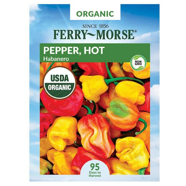 Ferry-Morse Organic Pepper Habanero Fruit Seed