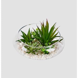 6 in. Artificial Mixed Succulents on Stones in Glass Pot