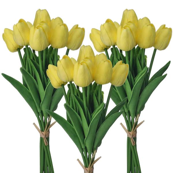 13" Eva Dutch Tulip Bundle X9