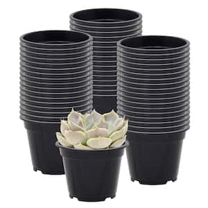 3 in. Black Plastic Standard Grow Pot (250-Pack)