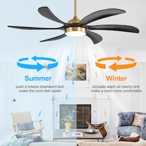 Barnn 65 in. Integrated LED Indoor Gold and Black downrod Mount Ceiling Fan with Light Kit and Remote Control