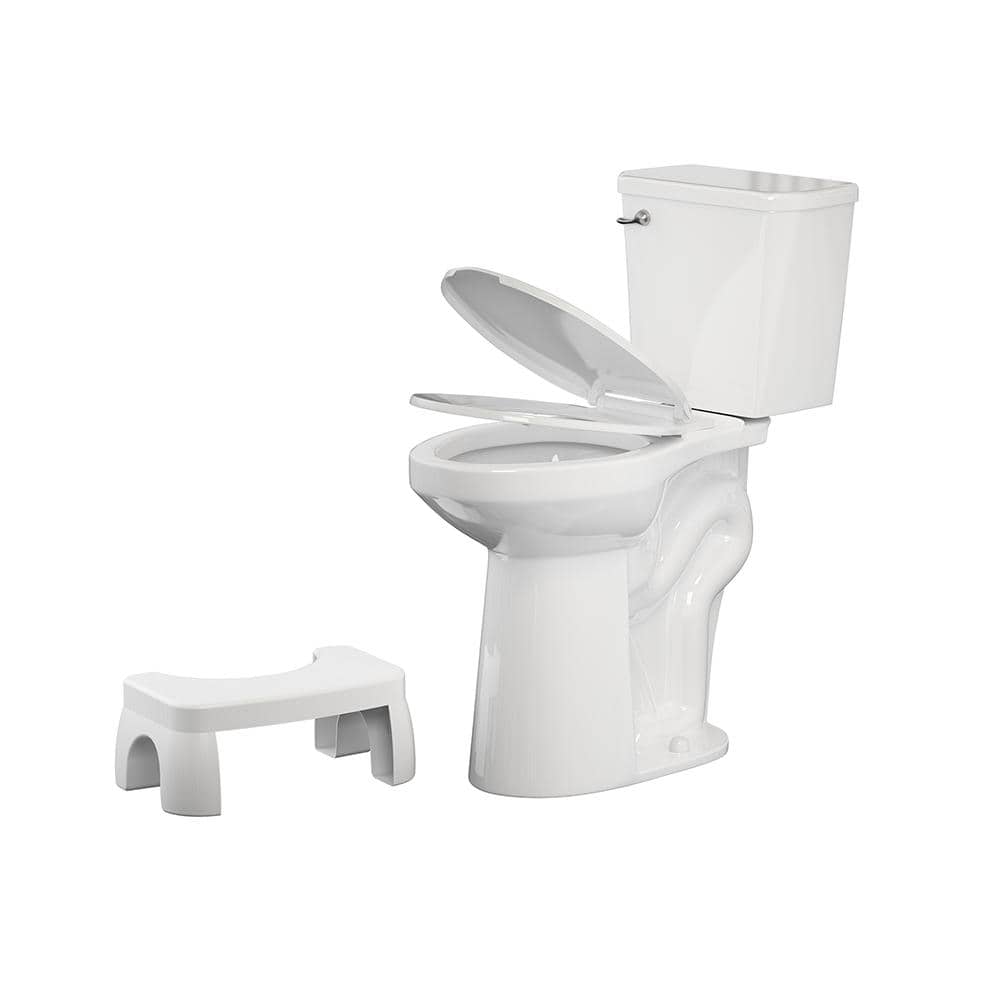 21-in 2-Piece 1. 28GPF Single Flush Elongated Comfort Toilet with Custom St