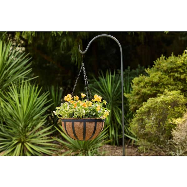 succulent planter box Mixed Succulent in Rectangle Planter, 12
