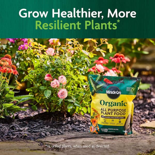 Miracle-Gro Organic All Purpose Raised Bed Soil 25 lb