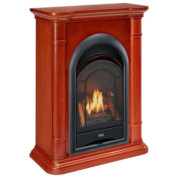 ProCom FS100T-3AS Ventless Fireplace System 10K BTU Duel Fuel