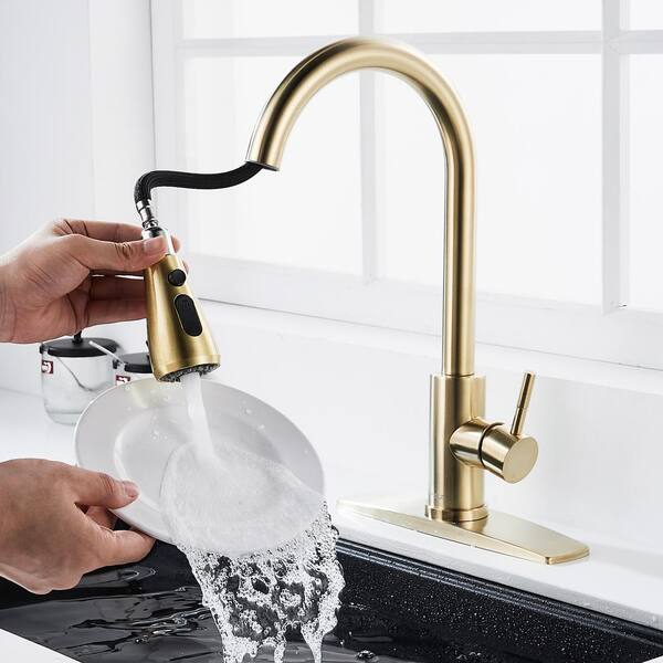 FORIOUS Single Handle Kitchen Faucet with Pull Down Sprayer High