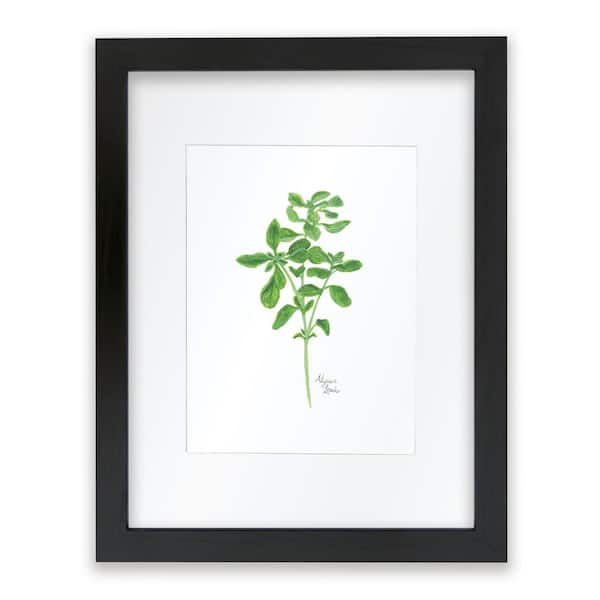 Unbranded Nature's Lace 2 "Oregano" by Alyssa Lewis Individual Black Framed with Mat Nature Art Print 24 in. x 18 in.
