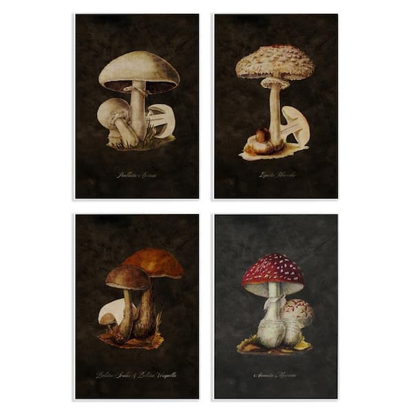 Stupell Industries Mushroom Genus Studies by Tina Higgins Designs, Inc. 4-Pieces Unframed Nature Graphic Art Print 15 in. x 10 in.